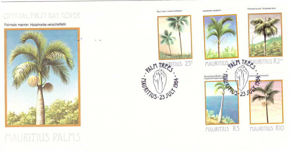 1984 23 July - Palms