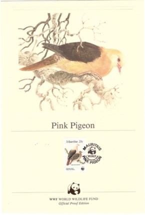 1985 2 Sep - pink pigeon official proof_1