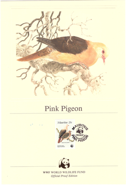 1985 2 Sep - pink pigeon official proof_1