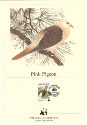 1985 2 Sep - pink pigeon official proof_2