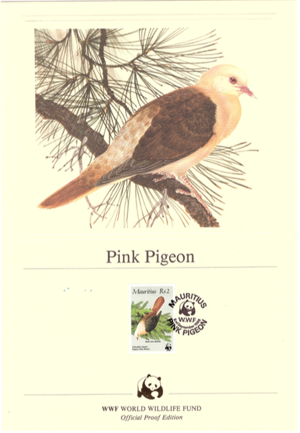 1985 2 Sep - pink pigeon official proof_2