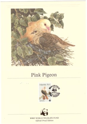1985 2 Sep - pink pigeon official proof_4