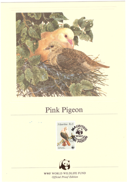 1985 2 Sep - pink pigeon official proof_4