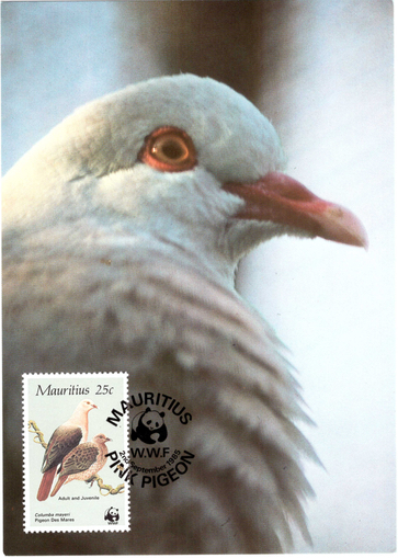 1985 2 Sep - WWF Postcard_1