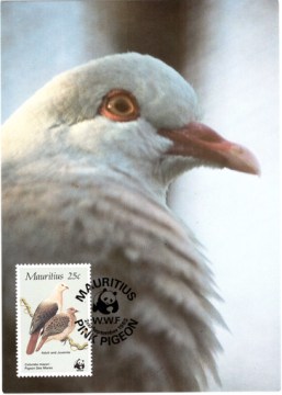 1985 2 Sep - WWF Postcard_1