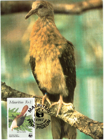 1985 2 Sep - WWF postcard_2