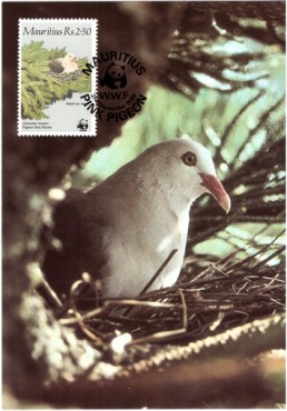 1985 2 Sep - WWF postcard_3