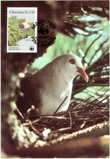 1985 2 Sep - WWF postcard_3