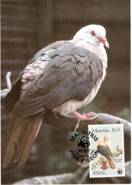 1985 2 Sep - WWF postcard_4