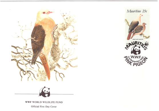 1985 2 Sep - WWF Special cover 1