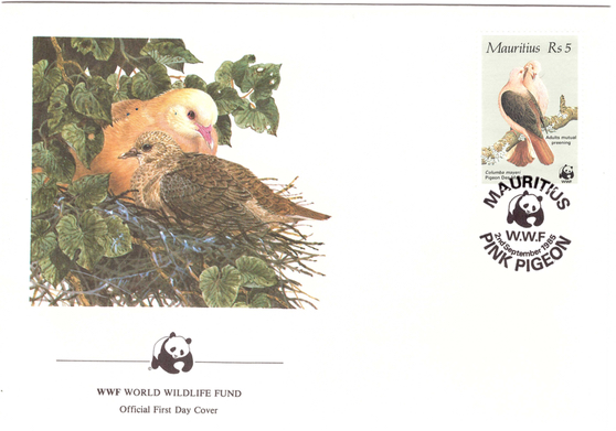 1985 2 Sep - WWF Special cover 4