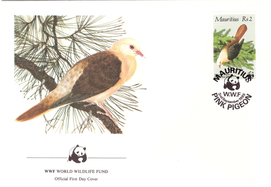 1985 - WWF special cover 2