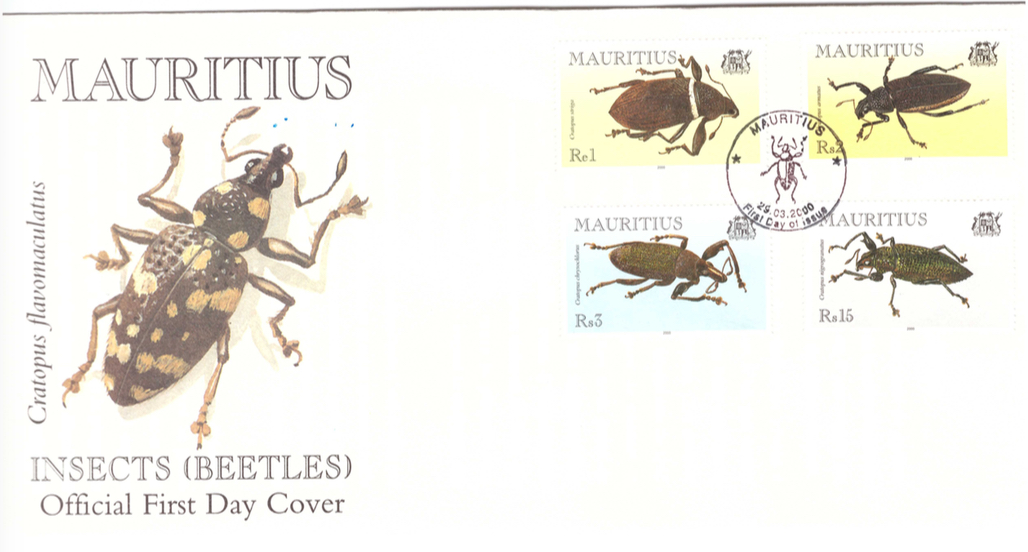 2000 29 March - Beetles OFC