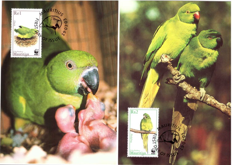 2003 19 March - Echo Parakeet postcards_1