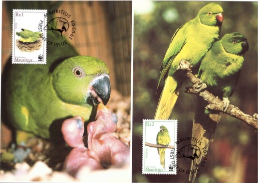 2003 19 March - Echo Parakeet postcards_1
