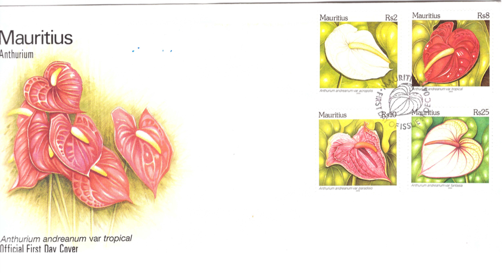 2004 1 Dec - Anthuriums