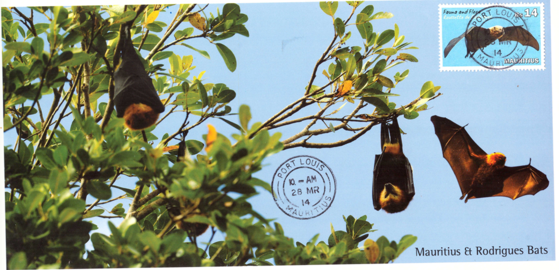 2014 28 March - Bats postcard