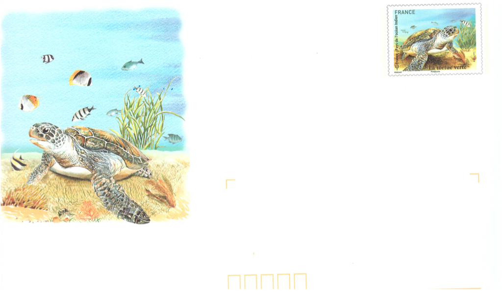 2014 9 Oct - Tortue Verte prepaid enveloppe