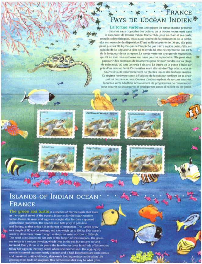 2014 tortue de mer booklet1