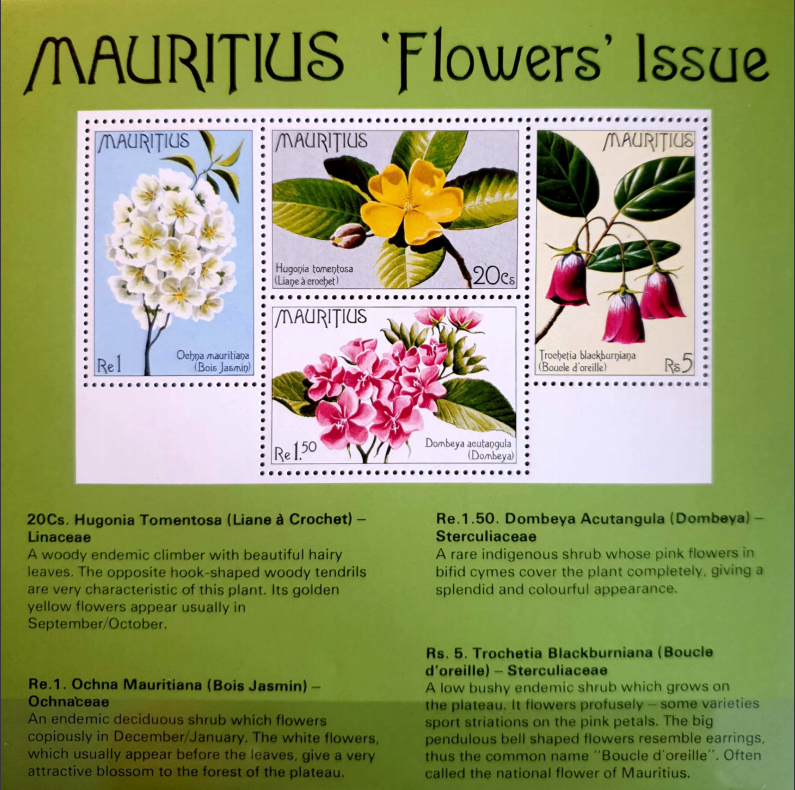 Screenshot 2019-04-06 at 09.45.20