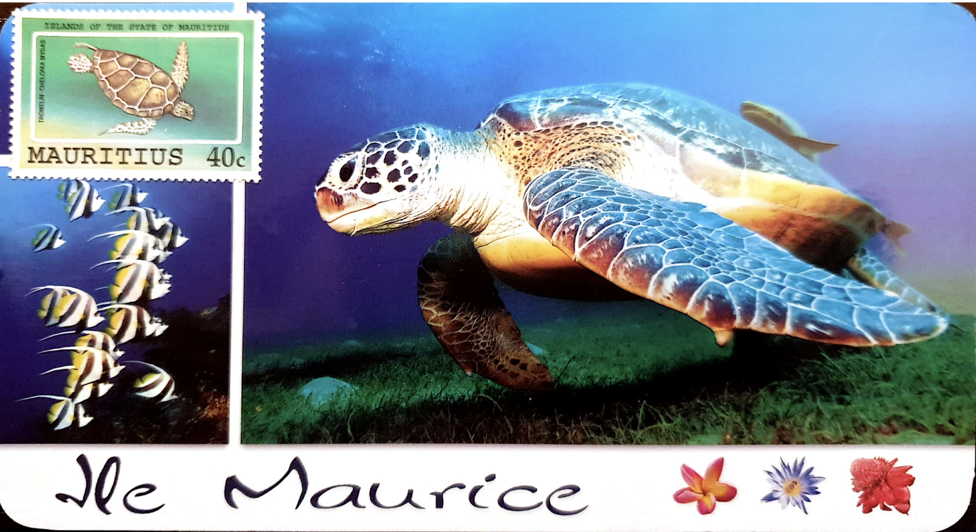 Screenshot 2021-02-14 at 18.19.00