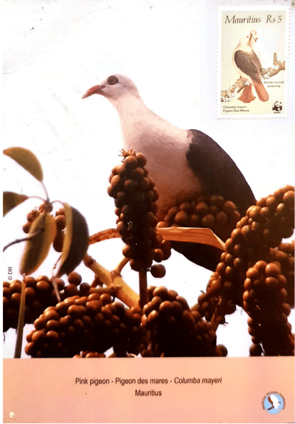 Screenshot 2021-02-20 at 21.24.41